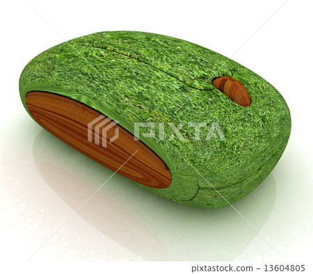 Natural computer mouse 13604805