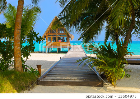 Diving club on a tropical island Diving club on a tropical island 13604973