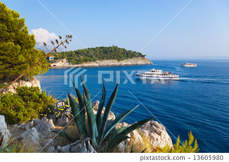 Trees, flowers and sea 13605980