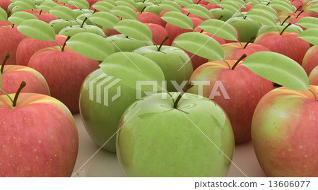 apples apples 13606077