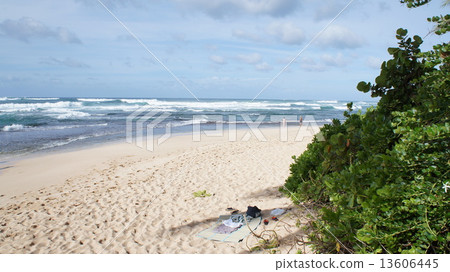 Papa'iloa海灘 13606445