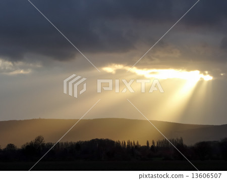 A ray of sunshine A ray of sunshine 13606507