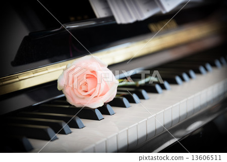Lovesong 13606511