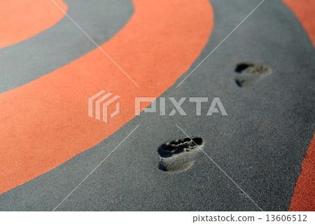 Tracks on the track 13606512