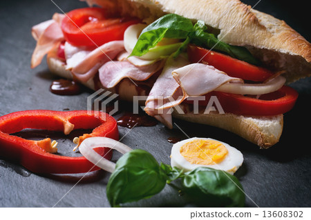 Sandwich Sandwich 13608302