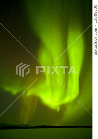 Aurora of Bettles 13608539