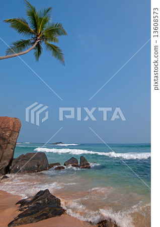 tropical seaside 13608573