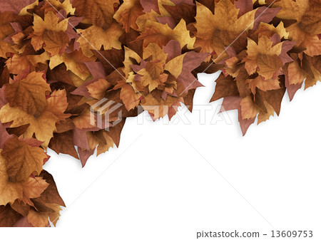 Autumn Leaves. Fall Background. Color Explosion Autumn Leaves. Fall Background. Color Explosion 13609753