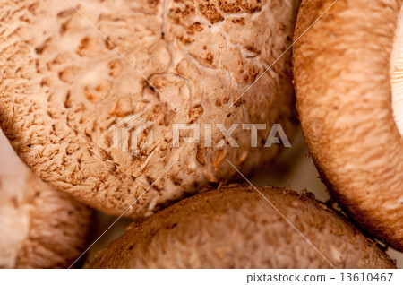 shiitake mushrooms shiitake mushrooms 13610467