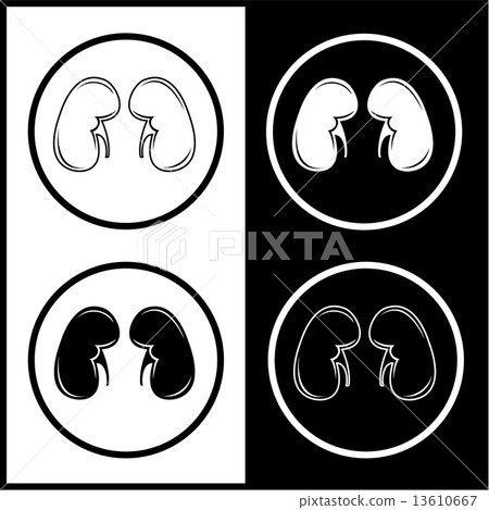 Vector kidneys icons 13610667