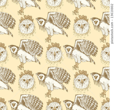 Sketch harpia eagle head in vintage style 13610802