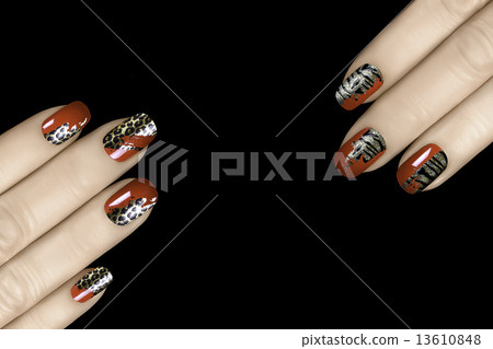 Leopard and Tiger Nail Art. Nail Polish Stickers with Animal Pri 13610848