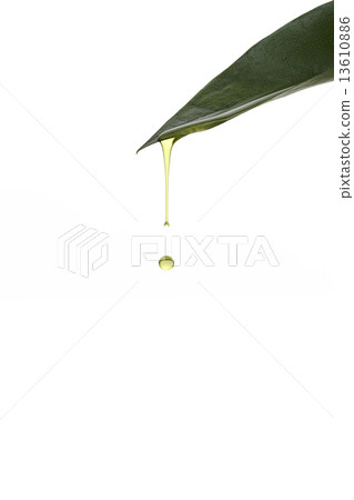 Beauty Treatment. Olive oil dripping from a fresh green leaf Beauty Treatment. Olive oil dripping from a fresh green leaf 13610886