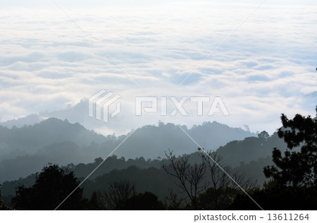 Landscape of cloud above cordillera in the morning 13611264