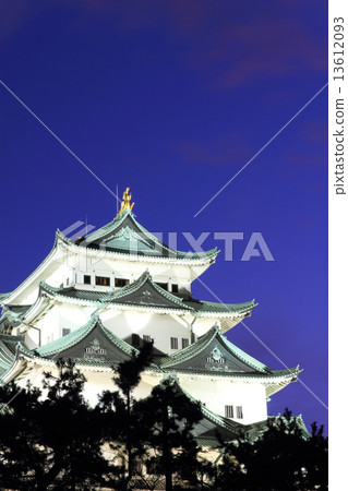 December Aichi Nagoya castle · castle tower light up December Aichi Nagoya castle · castle tower light up 13612093
