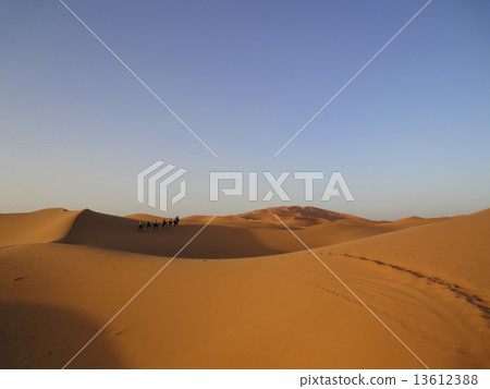 Sahara Desert (Camel Tour) 13612388