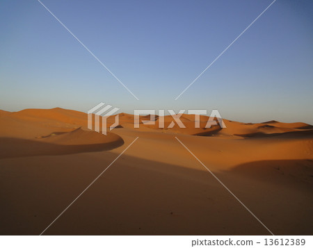 Evening Sahara 13612389