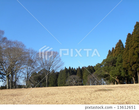 Showa no Mori winter view of the sun open space 13612651