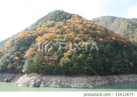 A small mountain of autumn leaves A small mountain of autumn leaves 13612675