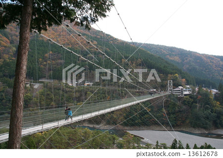 Suspension bridge in Tanze Suspension bridge in Tanze 13612678