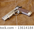 Model gun 13614184