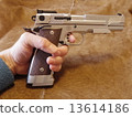 Model gun 13614186