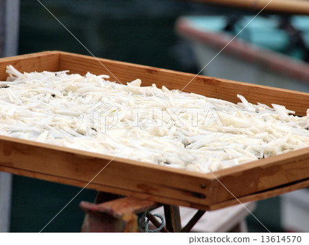 Shiitake radish (dry) Shiitake radish (dry) 13614570