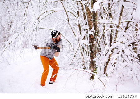 Lumberjack chopping wood Lumberjack chopping wood 13614757