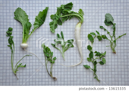 Spring seven herbs (tiles) 13615335