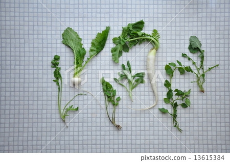 Spring seven herbs (tiles) 13615384