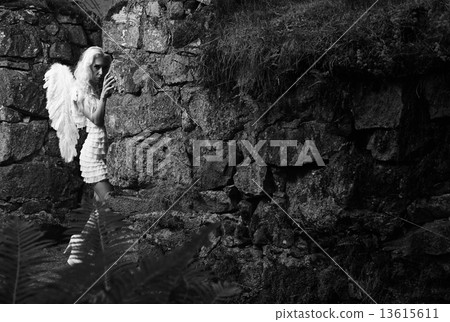 White angel 13615611