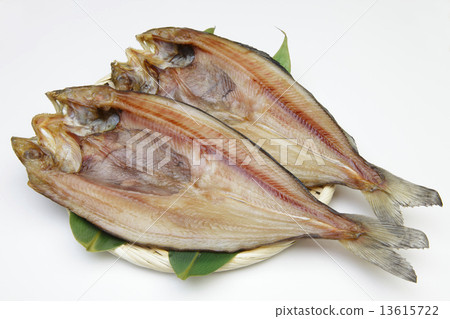 打開曲棍球 打開曲棍球 13615722