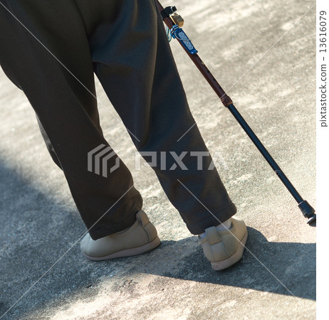 Senior. 13616079