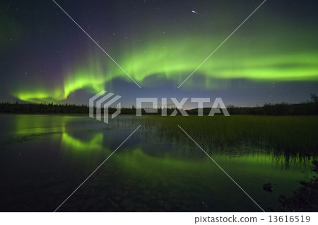 Aurora and meteor Aurora and meteor 13616519