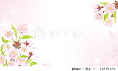 Cherry Blossom Frame 13616525