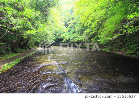 Take mountain valley 13616637