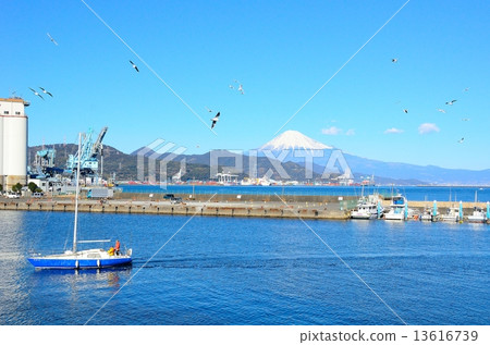 可以看到富士的風景〜清水海洋公園希望 可以看到富士的風景〜清水海洋公園希望 13616739