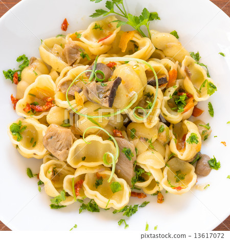 Gnocchi with mushrooms and dried tomato, italian cuisine 13617072