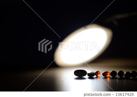 Supplement Supplement 13617420