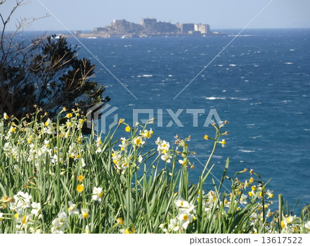 Battleship island and daffodil Battleship island and daffodil 13617522