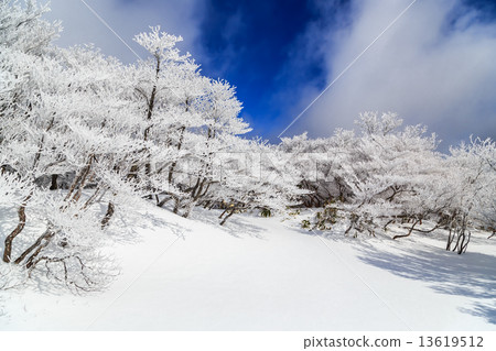 在Mikado火山頂部的Ryukichi 13619512