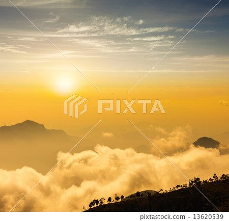 Mountains in clouds. Kodaikanal, Tamil Nadu 13620539