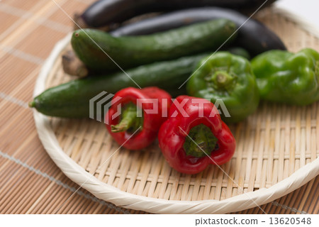 暑假的自體栽培 13620548