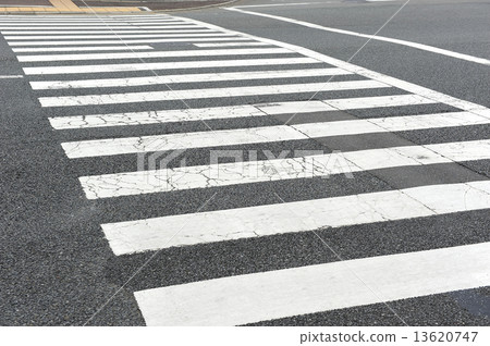 zebra crossing 13620747