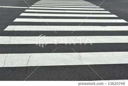 zebra crossing 13620748