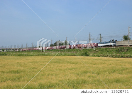 EF65 type 1000 freight train on the Utsunomiya Line in early autumn (Kuroiso station AC electrification era) 13620751