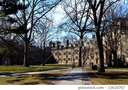princeton university, prestigious school, excellence 13620767