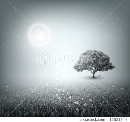 Summer, Field, Sky, Tree, Grass, Moon, Evening 13621944