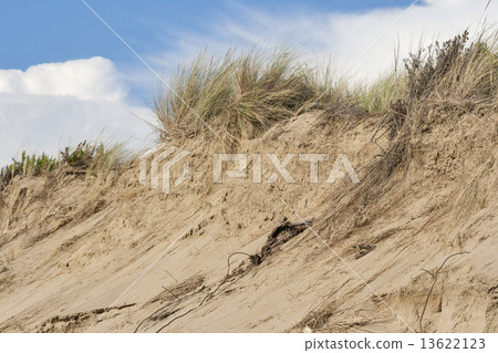 beach sand dunes against sky beach sand dunes against sky 13622123