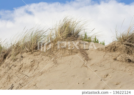 beach sand dunes against sky beach sand dunes against sky 13622124